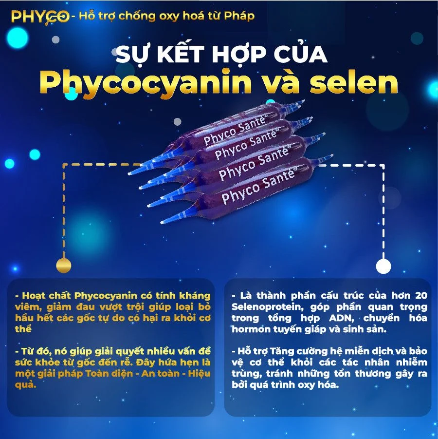 PHYCO SANTÉ có tốt không